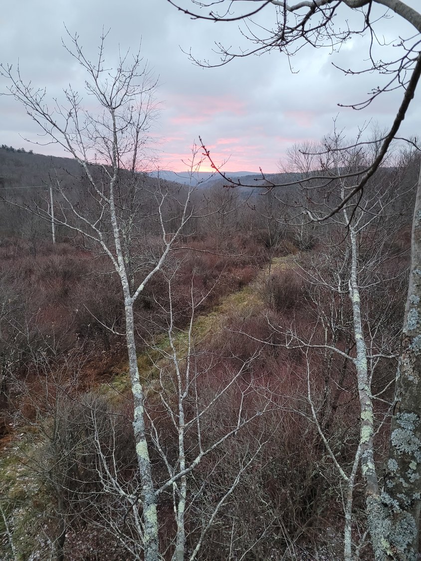 While I wait patiently in my deerstand, nature entertains me with a glowing sunrise.